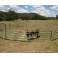 Horse Round Yard